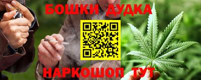 хмурый Кингисепп