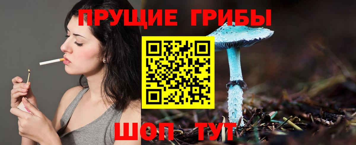 Краснокаменск  Псилоцибиновые грибы GOLDEN TEACHER  Вход с VPN 